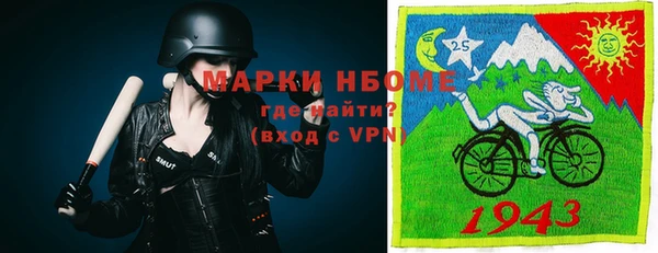 кокс Арсеньев