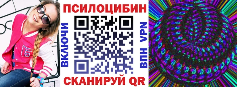Псилоцибиновые грибы Psilocybine cubensis  сколько стоит  Ахтубинск 