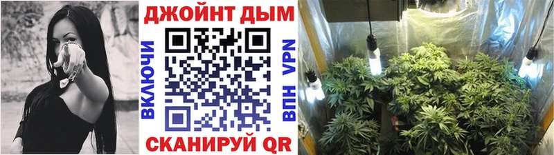 darknet как зайти  Ахтубинск  Конопля конопля 